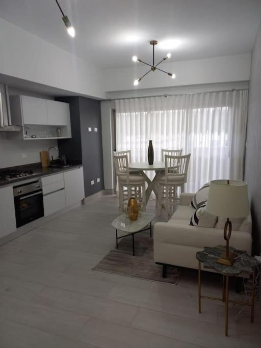 Brickell Hotel Apto G 08 Santo Domingo Bella Vista 外观 照片